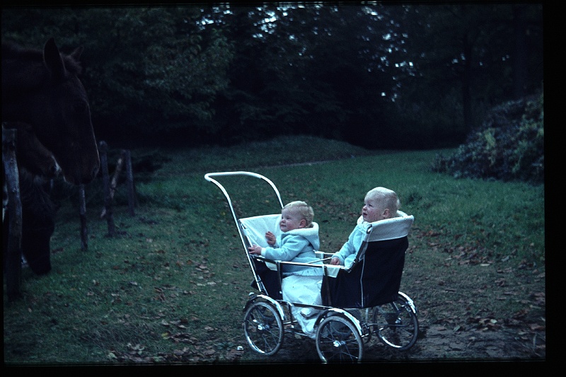 31.Horsten okt 1964 Brigitte,Marion.JPG